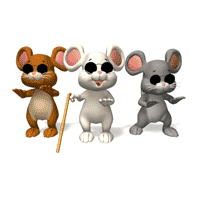 IMG_0993.GIF