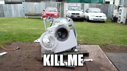 IMG_1319.GIF