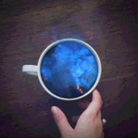 IMG_1696.GIF