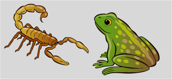 IMG_1957.PNG