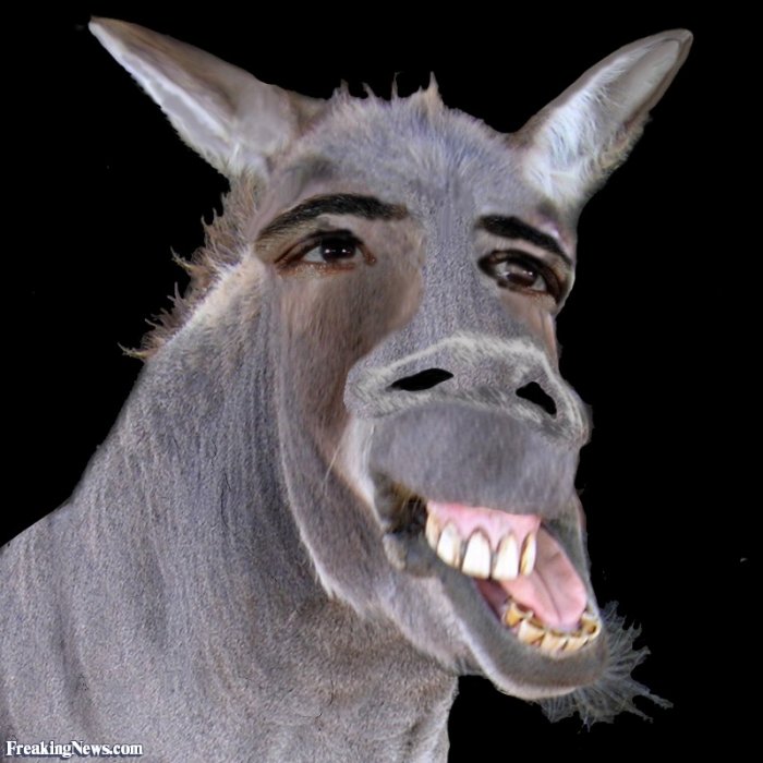 Jackass-Barack-Obama--48257.jpg