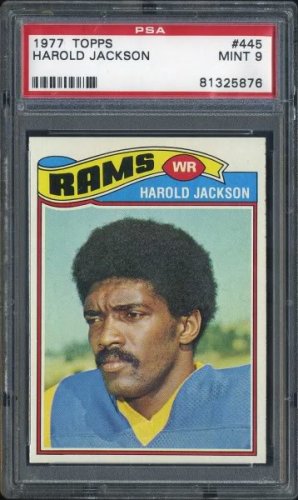 Jackson1.jpg