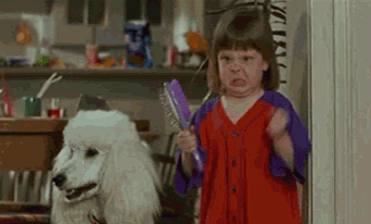 jezebel_angry-kid_dog_no-no-no.gif