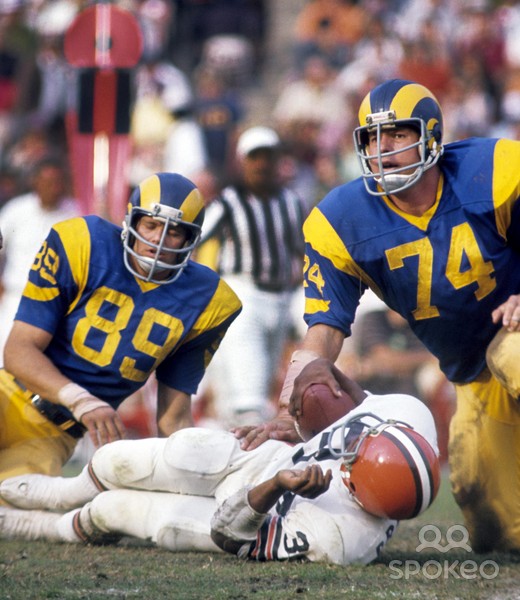merlin_olsen11.jpg