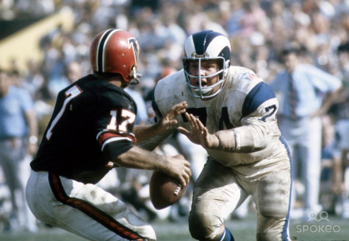merlin_olsen8.jpg