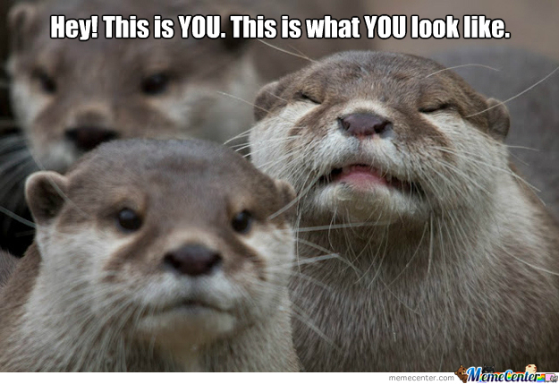 mocking-otter_o_345019.jpg