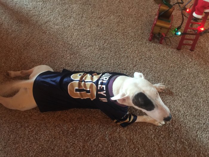 myla in rams jersey.jpg