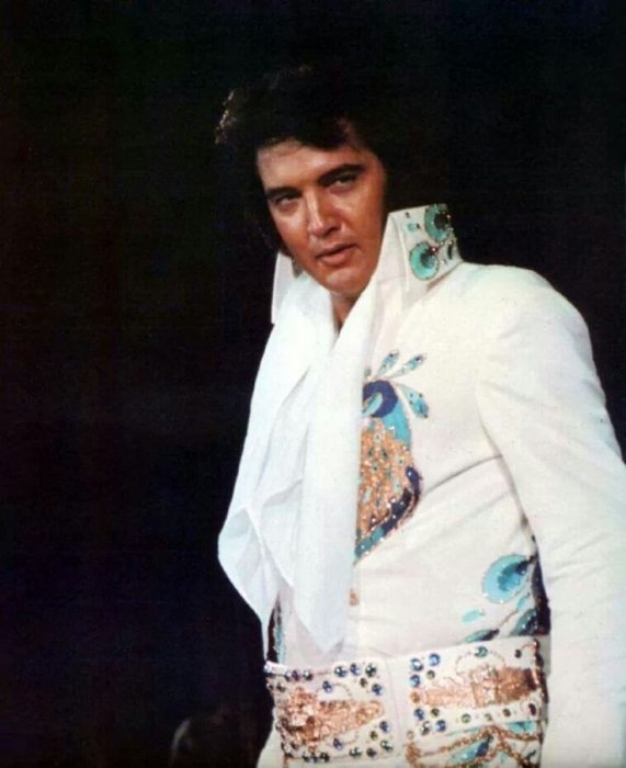 Peacock suit.jpg
