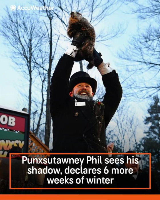 phil.jpg