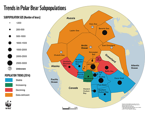 polarbearmap2011_npi_414569.png