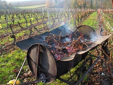 pruning burning.jpg