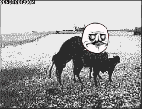 Rage-Gif_o_97387.gif