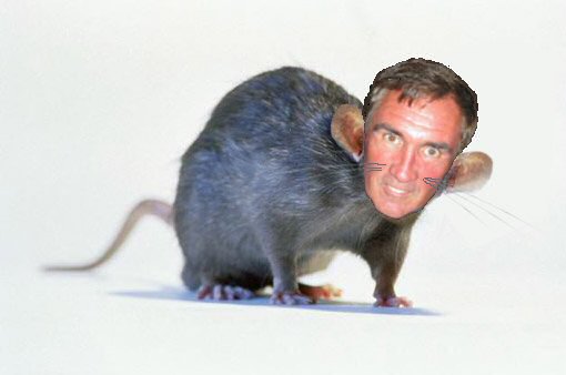 ratfaceas9.jpg