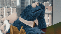reaction3.gif