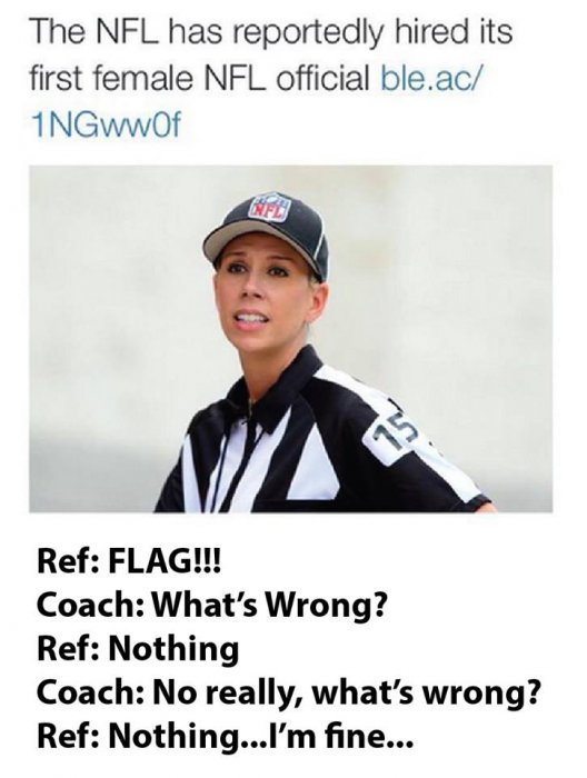 ref.jpg