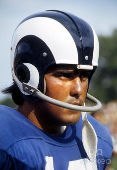 roman-gabriel-4 (1).jpg