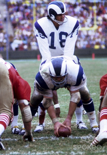 roman_gabriel12.jpg