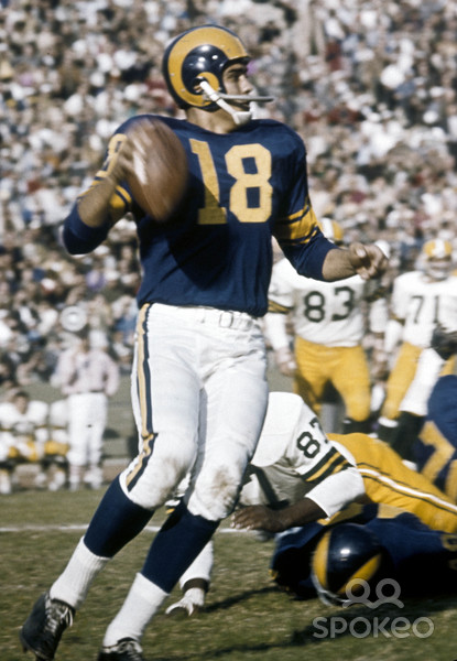 roman_gabriel14.jpg