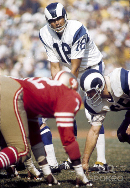 roman_gabriel6.jpg