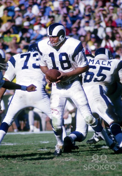 roman_gabriel7.jpg