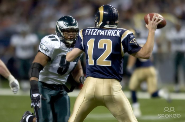ryan_fitzpatrick1.jpg