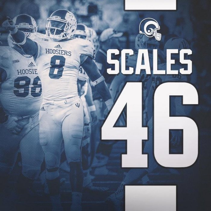Scales46.jpg