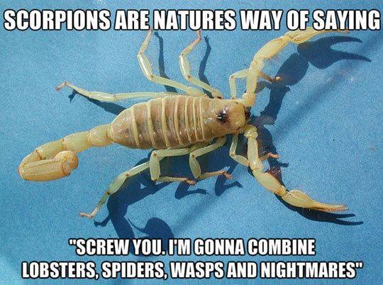 Scorpions.jpg