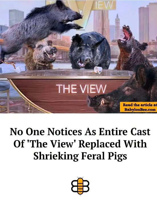 Screenshot_20260709_103608_Facebook.webp