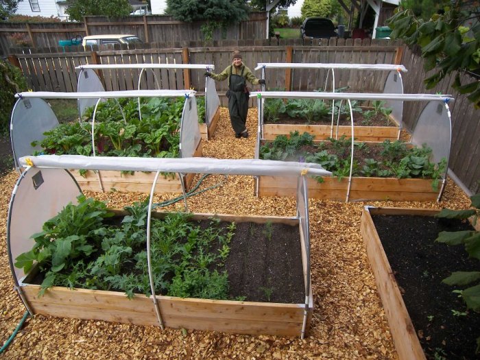 small green houses.jpg