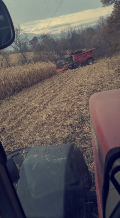 Snapchat-1561203108.jpg