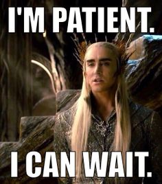 thranduil patient.jpg
