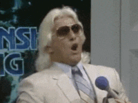 tumblr_olxn1f4q5V1r7dh6wo1_250.gif