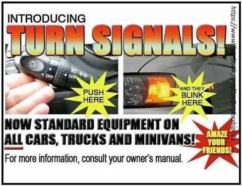 turn signals.jpg