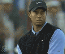 YRuoGvW7p3skw.gif