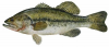 upload_2015-11-29_18-25-56.png