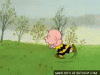 image.gif