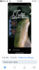 EBCEB528-C05E-4F03-A588-3C5883E8F4A8.png