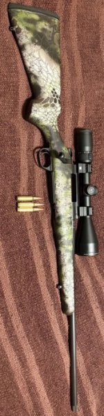 Howa 65.JPG