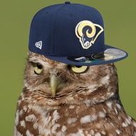 The Ramowl